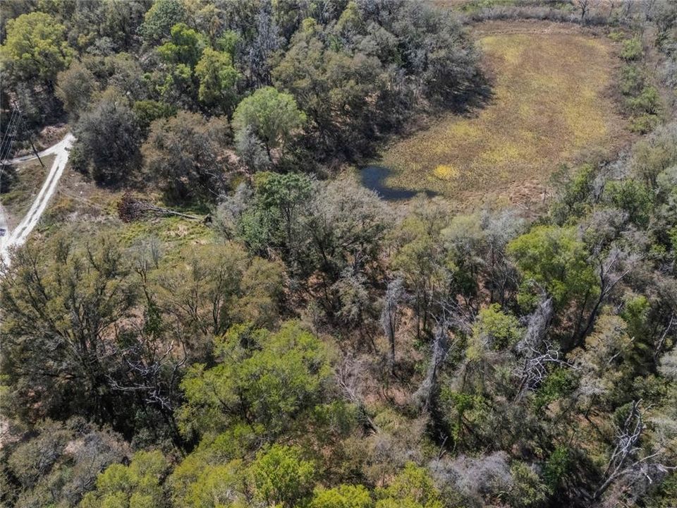 En Venta: $17,000 (0.50 acres)