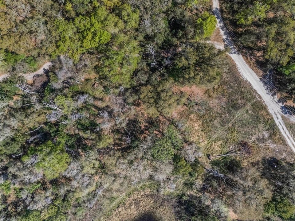 En Venta: $17,000 (0.50 acres)