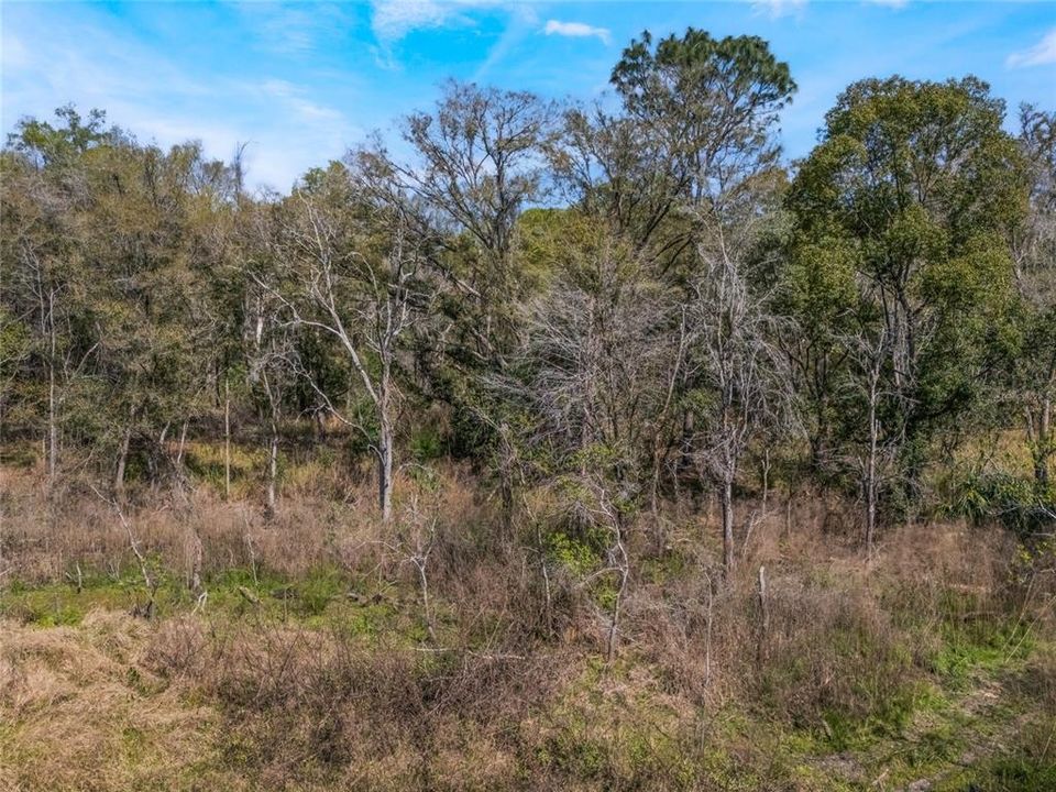 En Venta: $17,000 (0.50 acres)