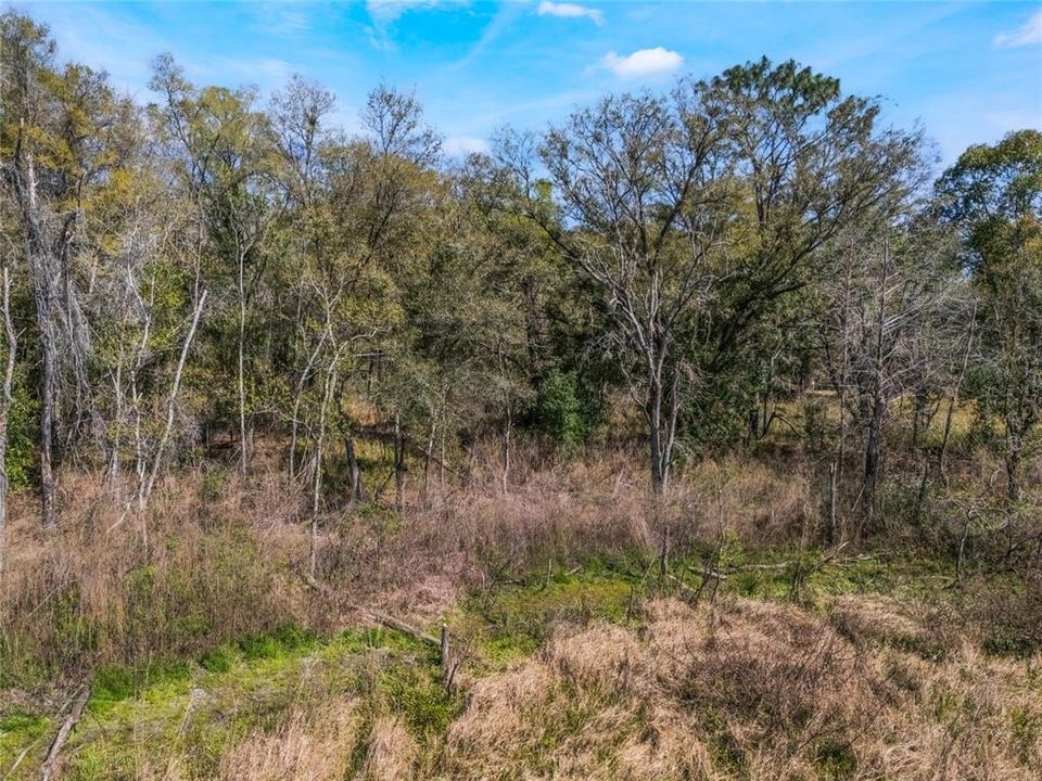 En Venta: $17,000 (0.50 acres)