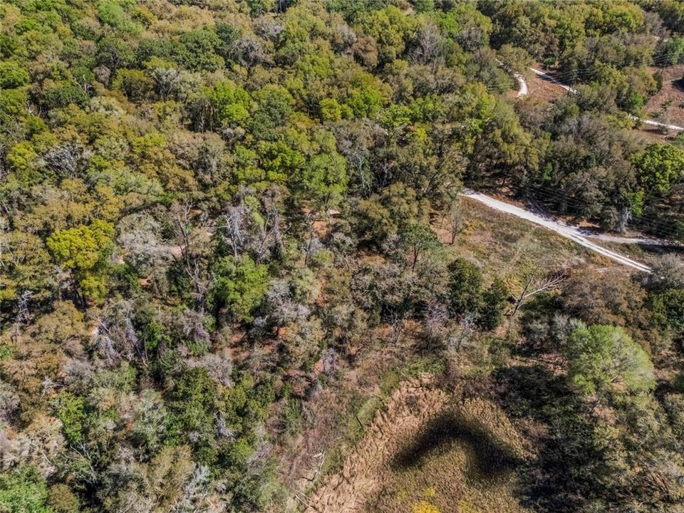 En Venta: $17,000 (0.50 acres)