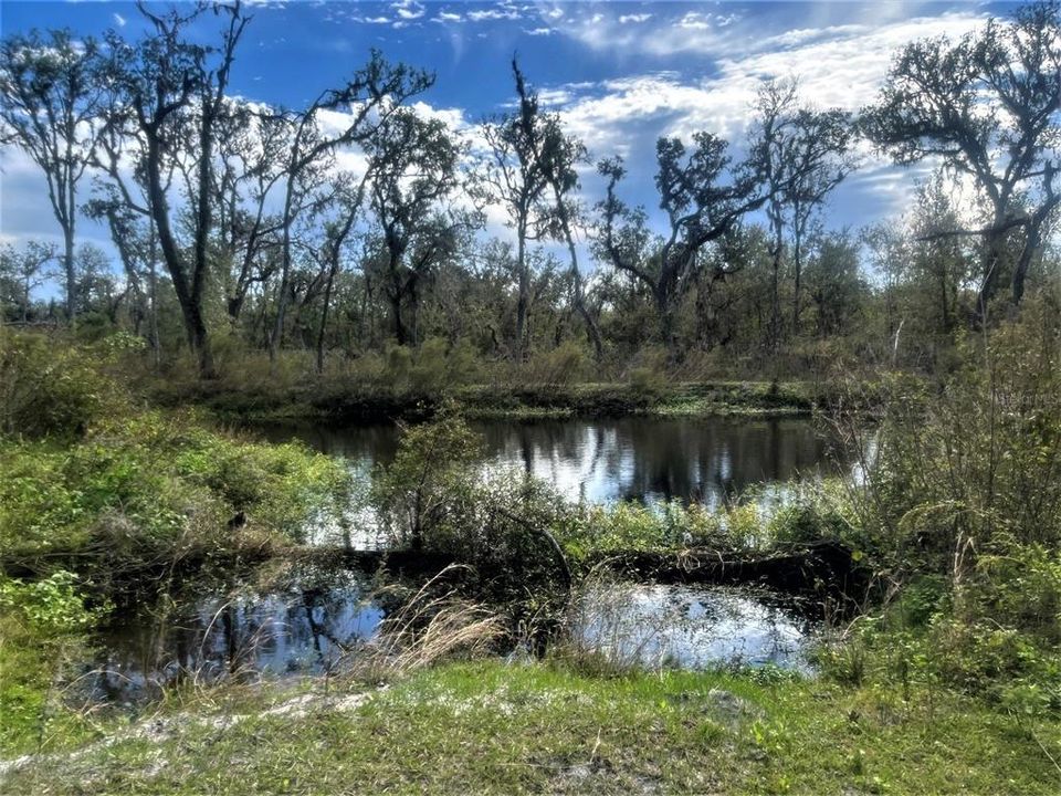 For Sale: $990,000 (23.54 acres)