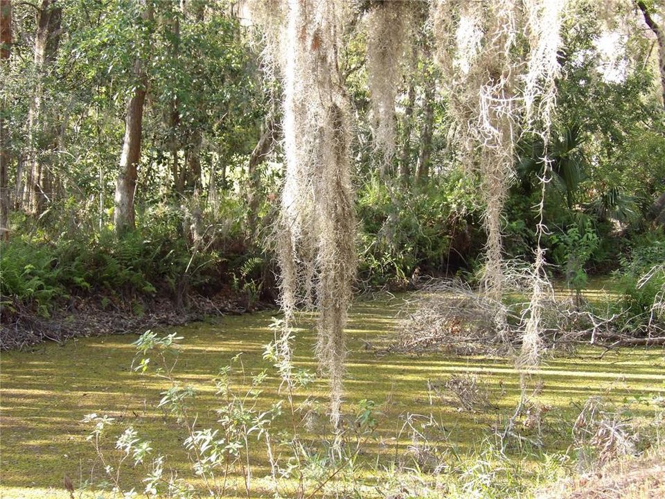 待售: $229,900 (0.38 acres)