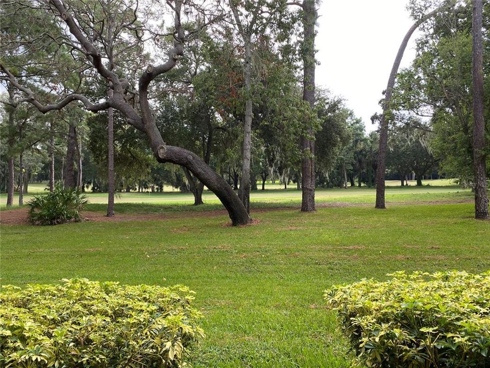 Под контрактом: $2,400 (1 спален, 1 ванн, 825 Квадратных фут)