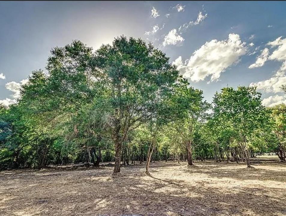 待售: $10,500,000 (1.19 acres)