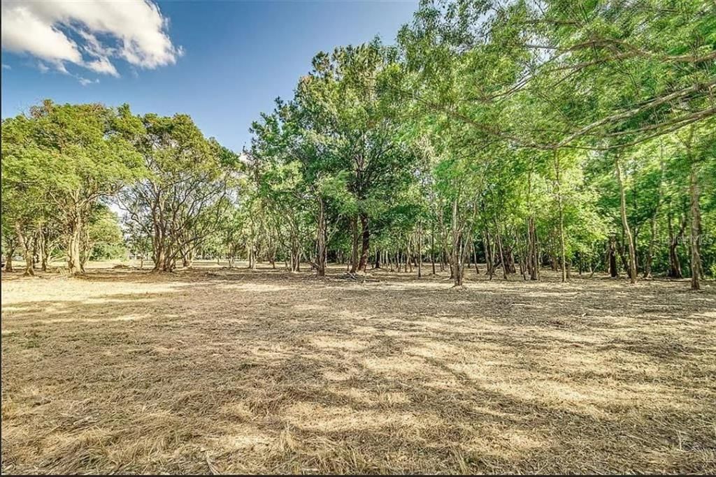 待售: $10,500,000 (1.19 acres)