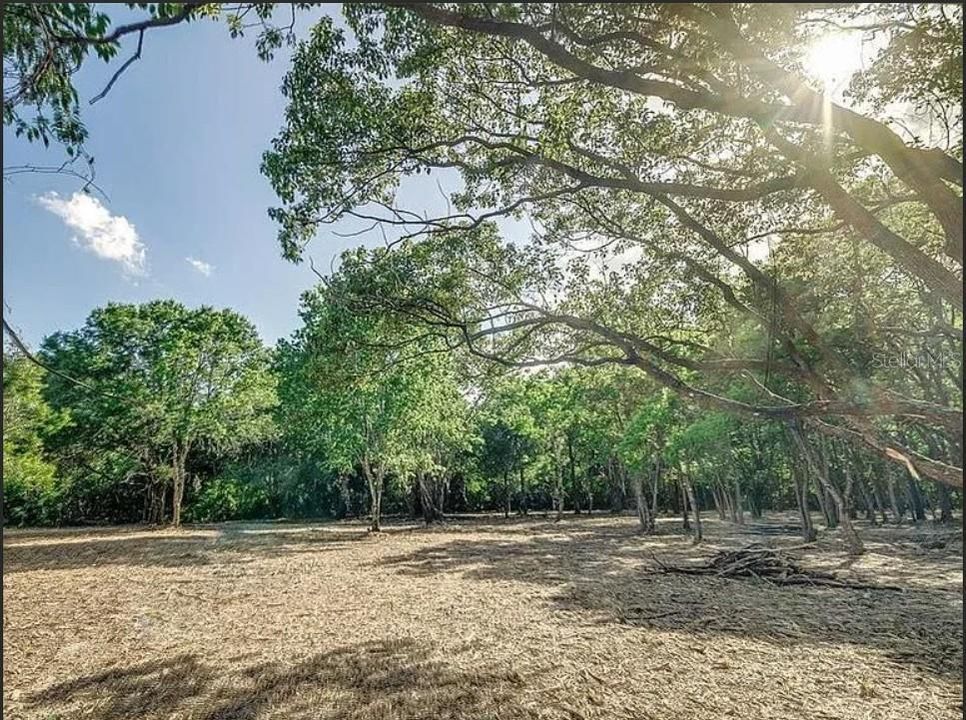 待售: $10,500,000 (1.19 acres)