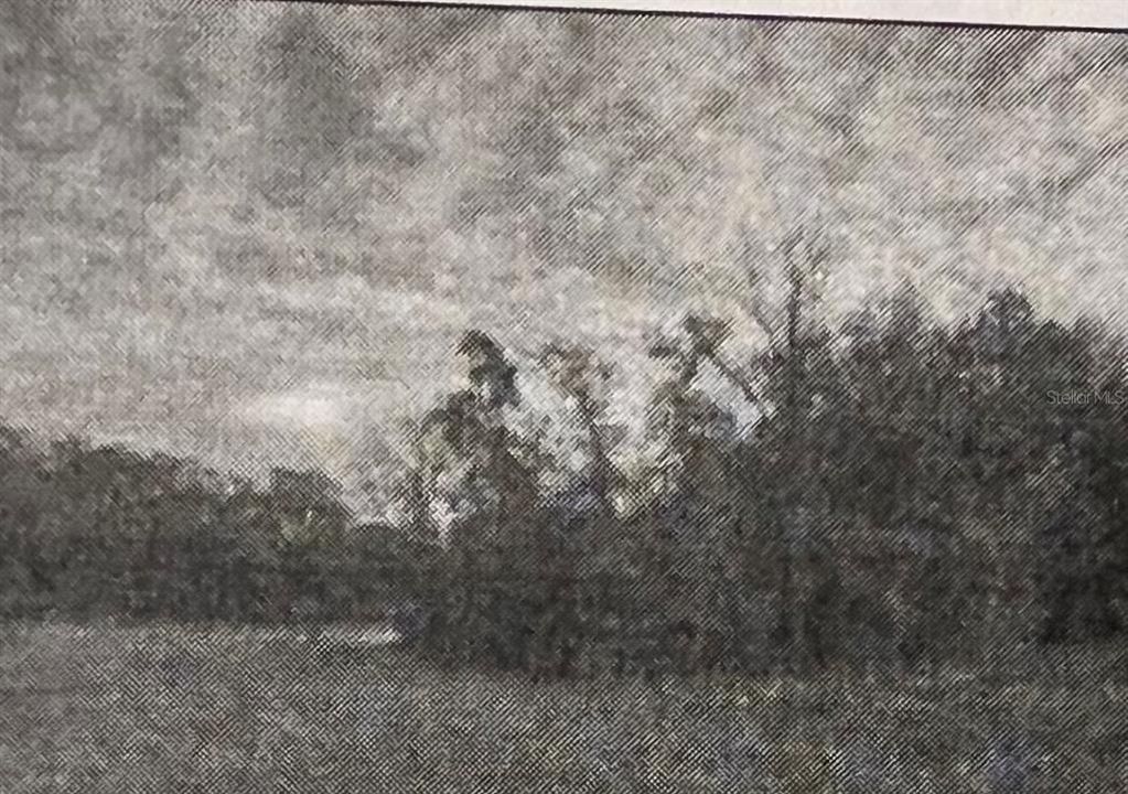 最近售出: $55,000 (0.96 acres)