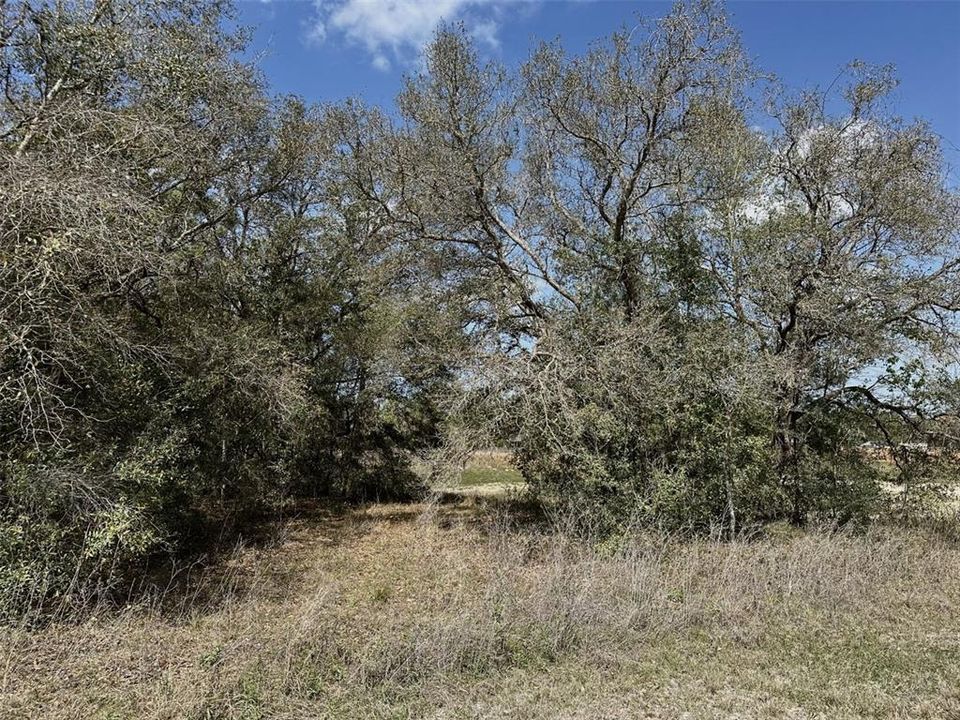 待售: $34,000 (0.47 acres)