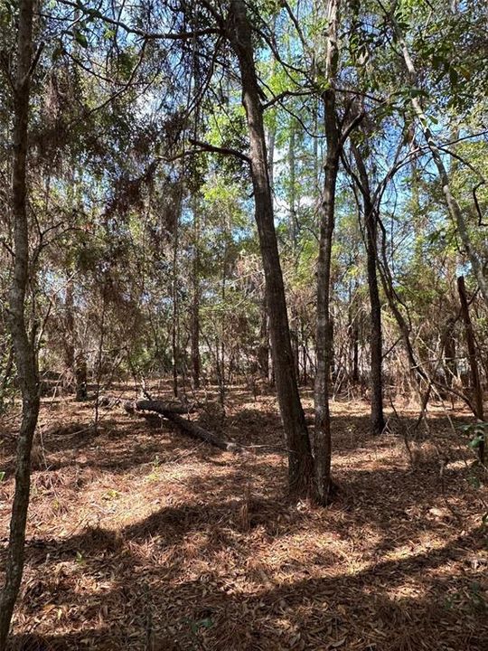 待售: $34,000 (0.47 acres)