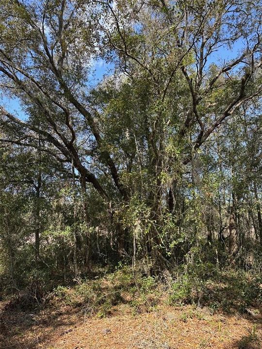 For Sale: $64,000 (0.94 acres)