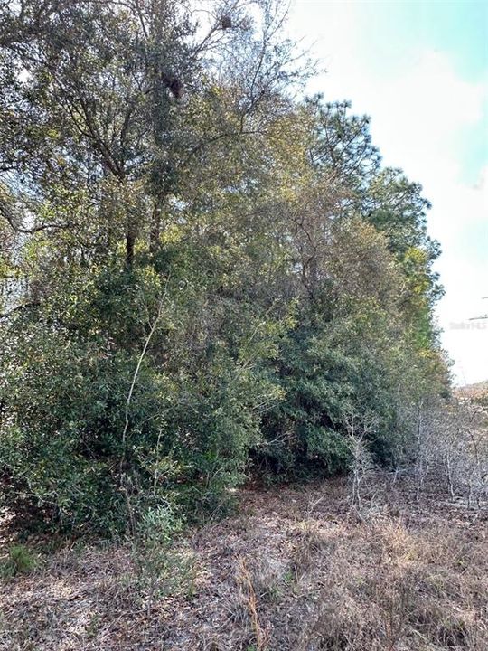 For Sale: $64,000 (0.94 acres)