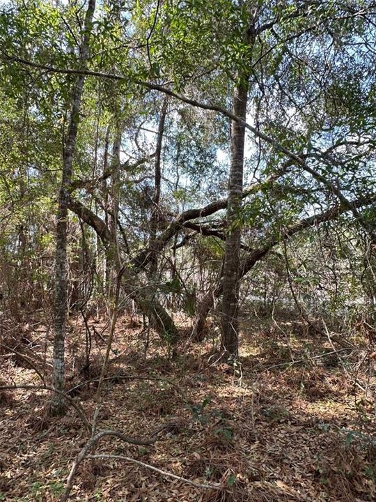 For Sale: $64,000 (0.94 acres)