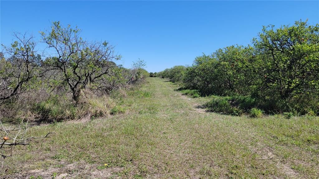 На продажу: $1,999,000 (38.04 acres)