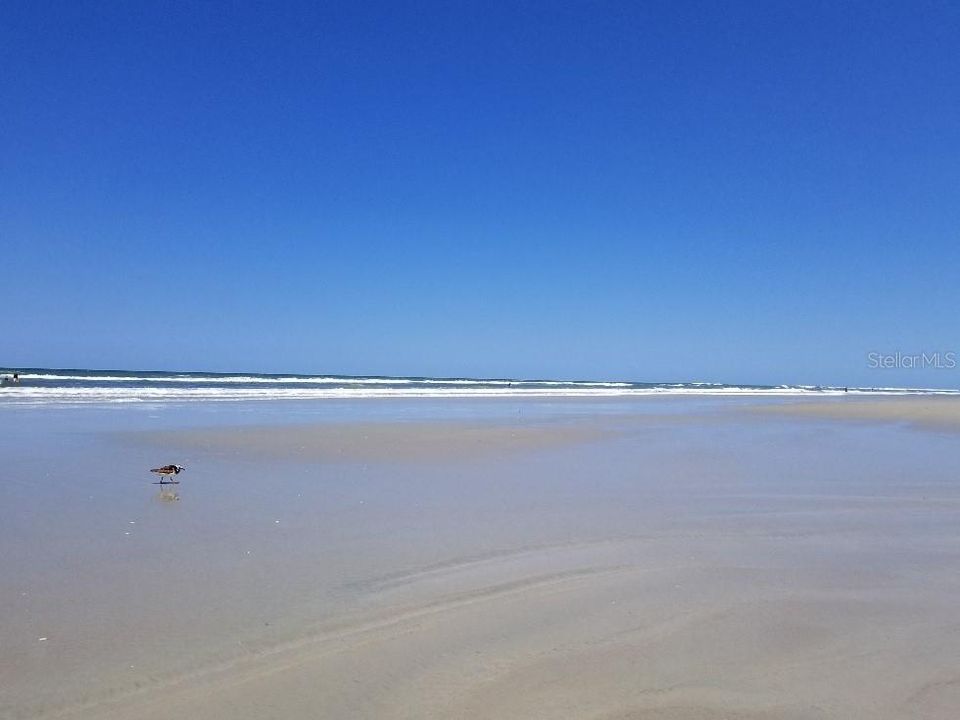 На продажу: $319,000 (2 спален, 2 ванн, 1575 Квадратных фут)