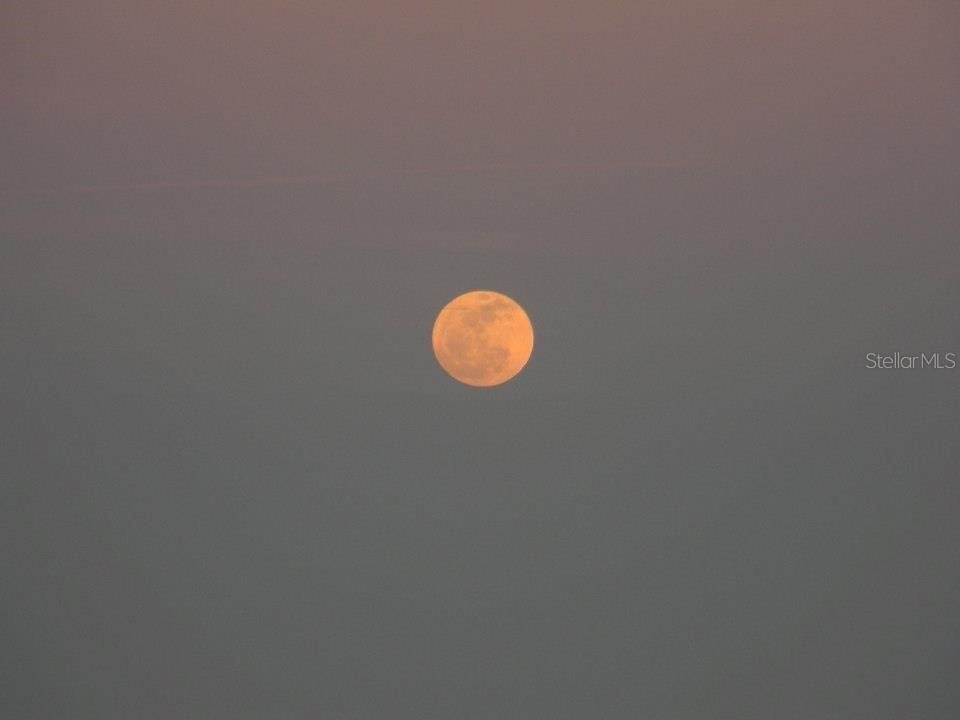 На продажу: $319,000 (2 спален, 2 ванн, 1575 Квадратных фут)