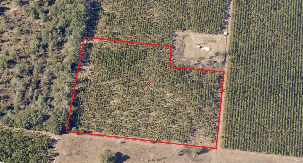 For Sale: $89,999 (8.75 acres)