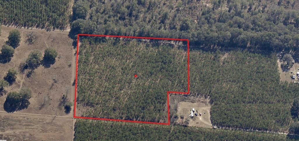 For Sale: $89,999 (8.75 acres)