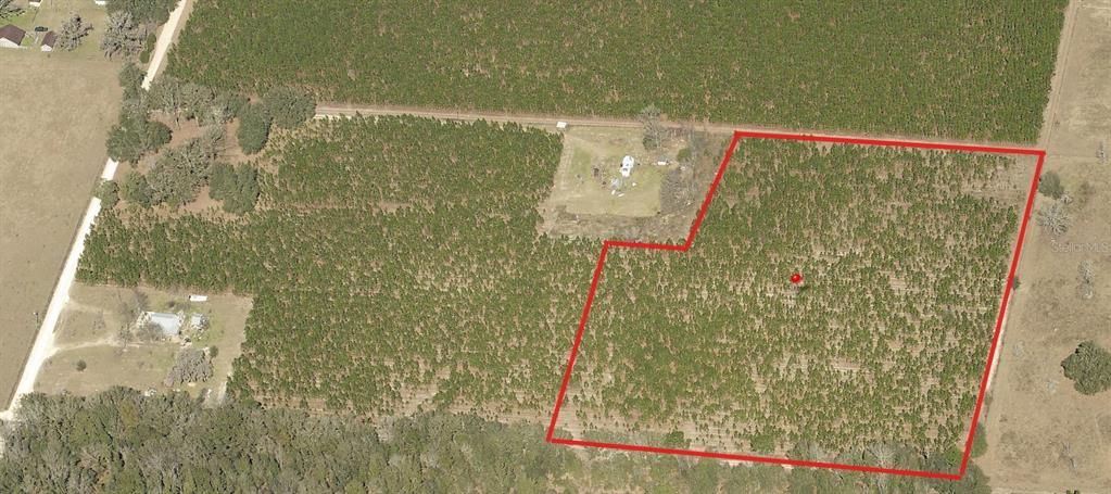 For Sale: $89,999 (8.75 acres)