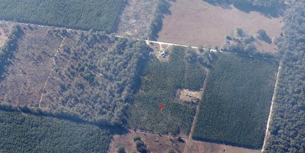 For Sale: $89,999 (8.75 acres)