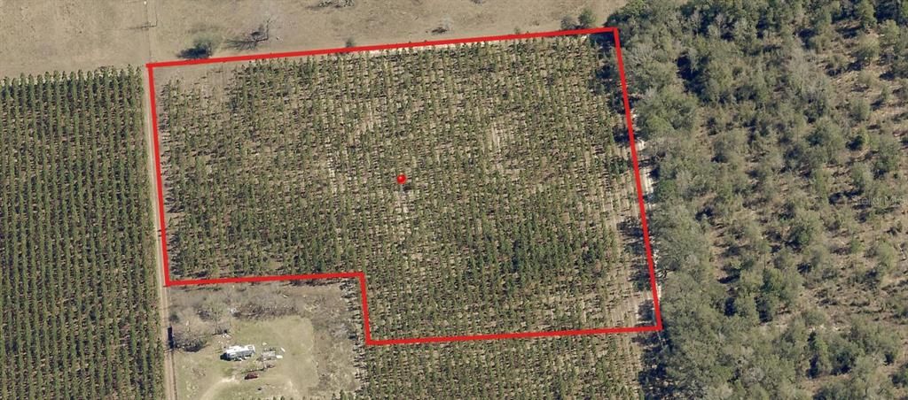 For Sale: $89,999 (8.75 acres)