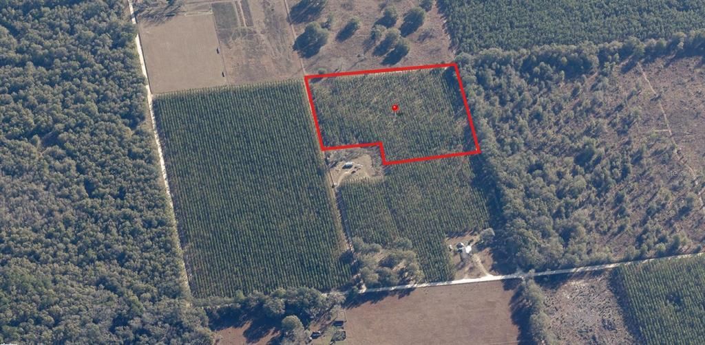 For Sale: $89,999 (8.75 acres)