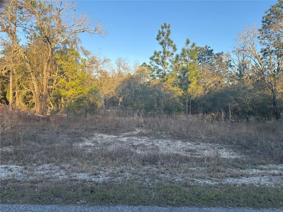 For Sale: $26,000 (0.99 acres)