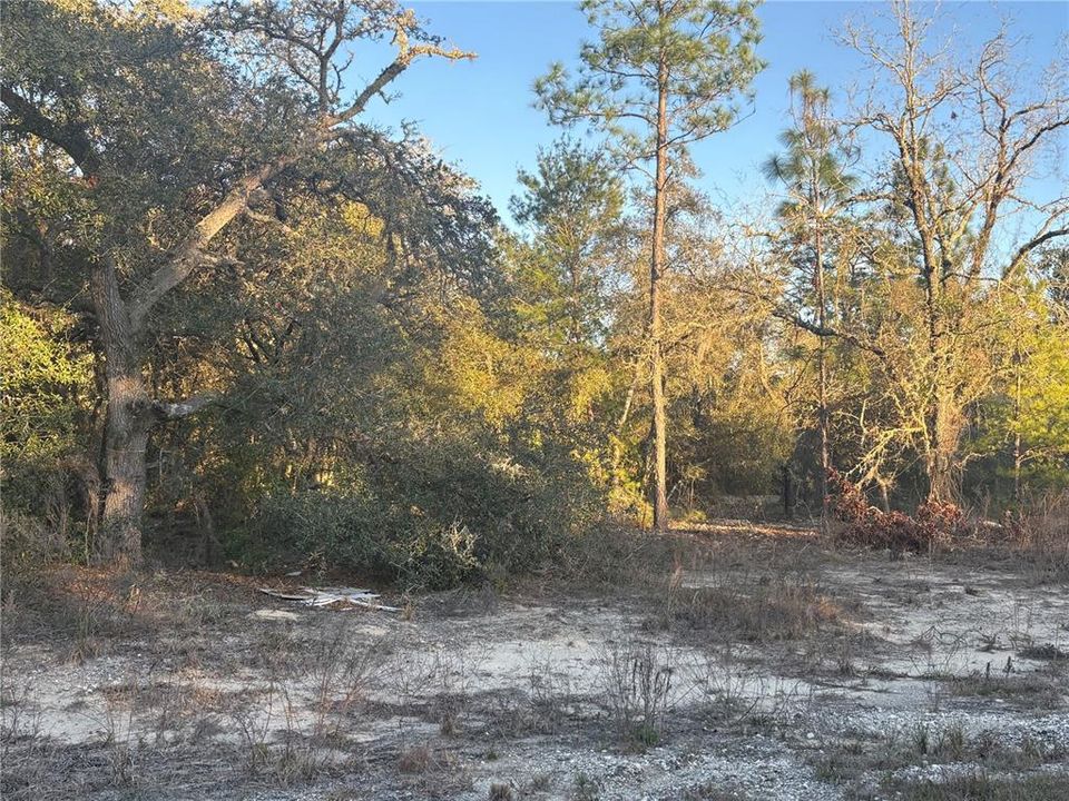 For Sale: $26,000 (0.99 acres)