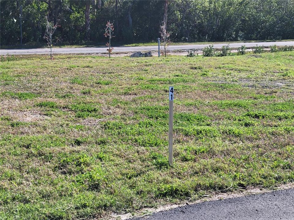 На продажу: $50,000 (0.06 acres)