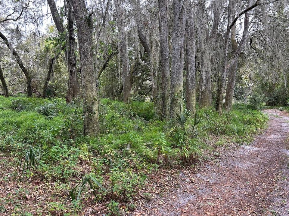 На продажу: $189,500 (5.80 acres)