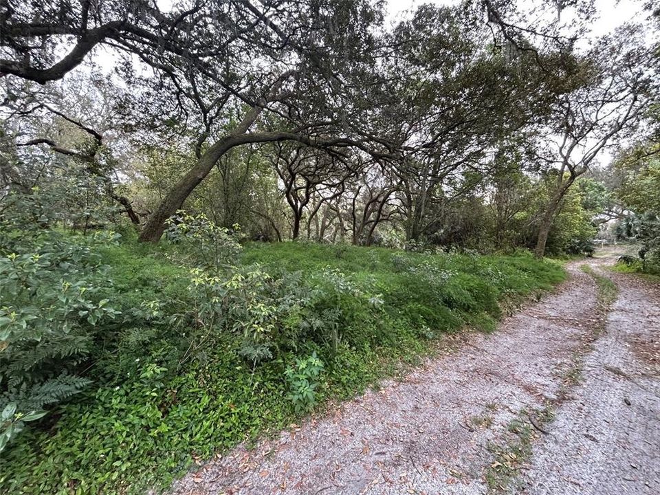 На продажу: $189,500 (5.80 acres)