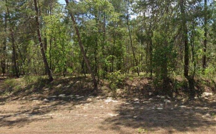 Недавно продано: $31,500 (0.36 acres)