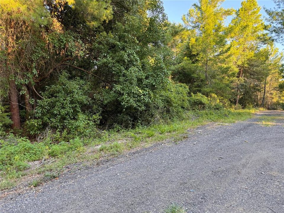 待售: $40,000 (0.46 acres)