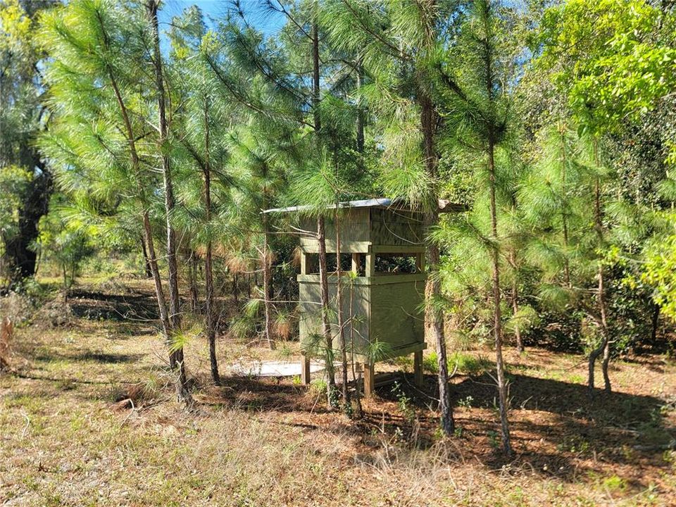 En Venta: $450,000 (3 camas, 2 baños, 1668 Pies cuadrados)