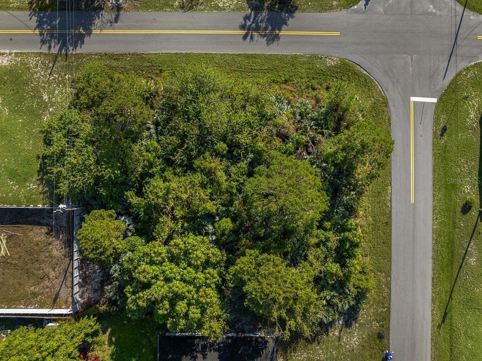 For Sale: $83,000 (0.29 acres)