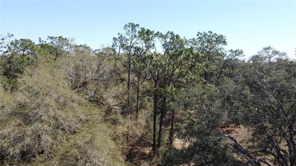 For Sale: $1,115,000 (60.00 acres)