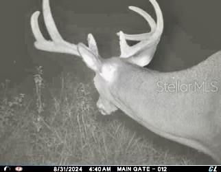 For Sale: $1,115,000 (60.00 acres)
