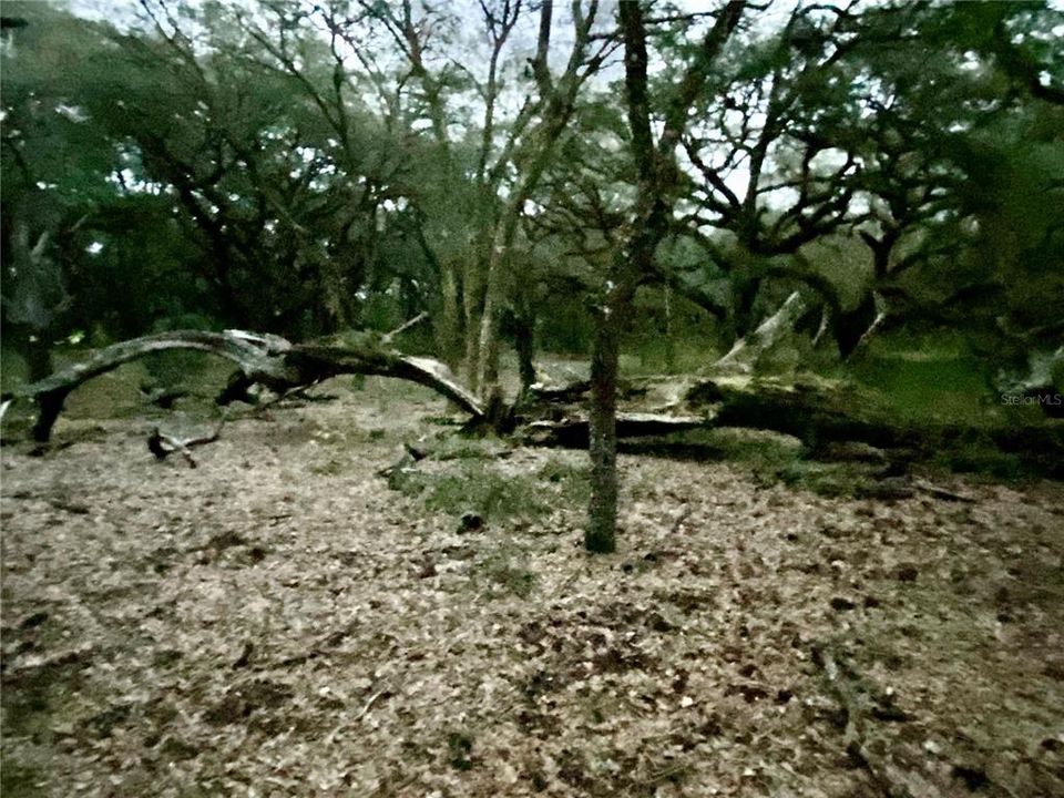 For Sale: $1,115,000 (60.00 acres)
