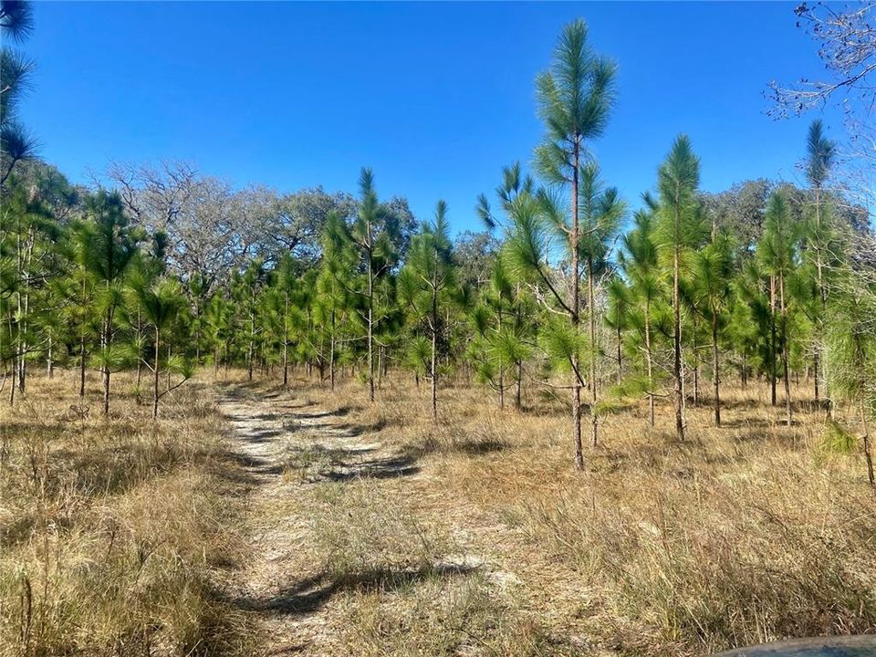 For Sale: $1,115,000 (60.00 acres)