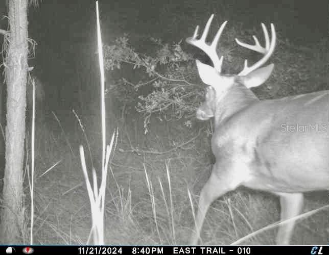 For Sale: $1,115,000 (60.00 acres)