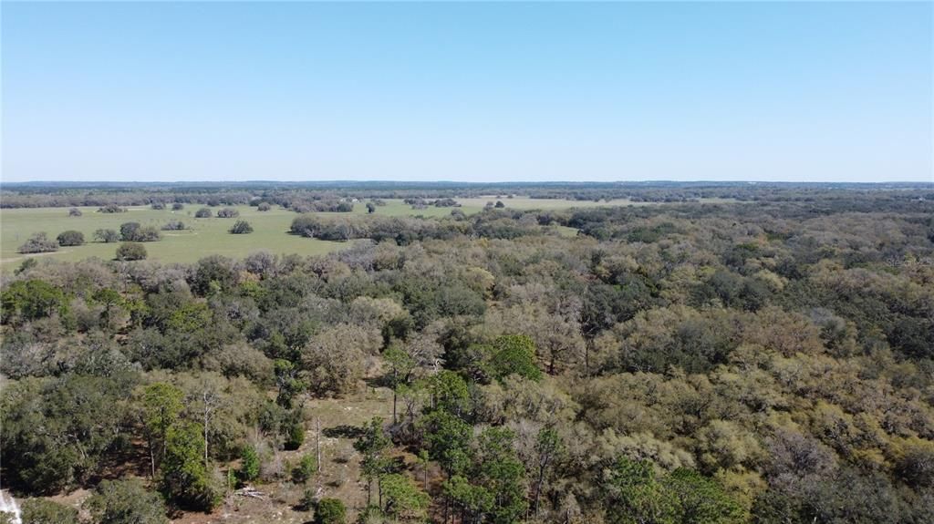 For Sale: $1,115,000 (60.00 acres)