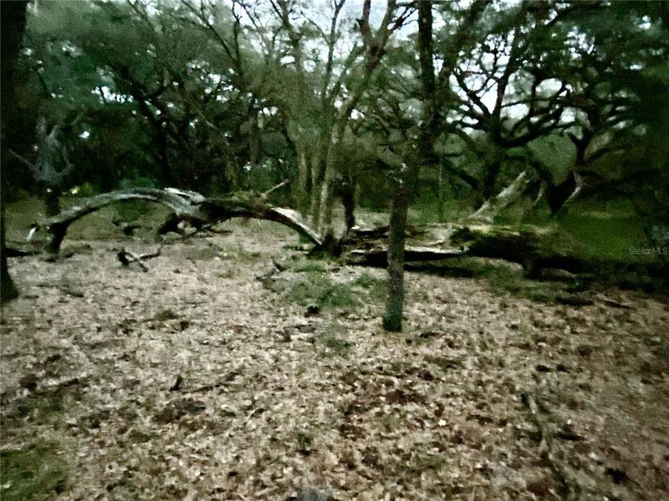 For Sale: $1,115,000 (60.00 acres)