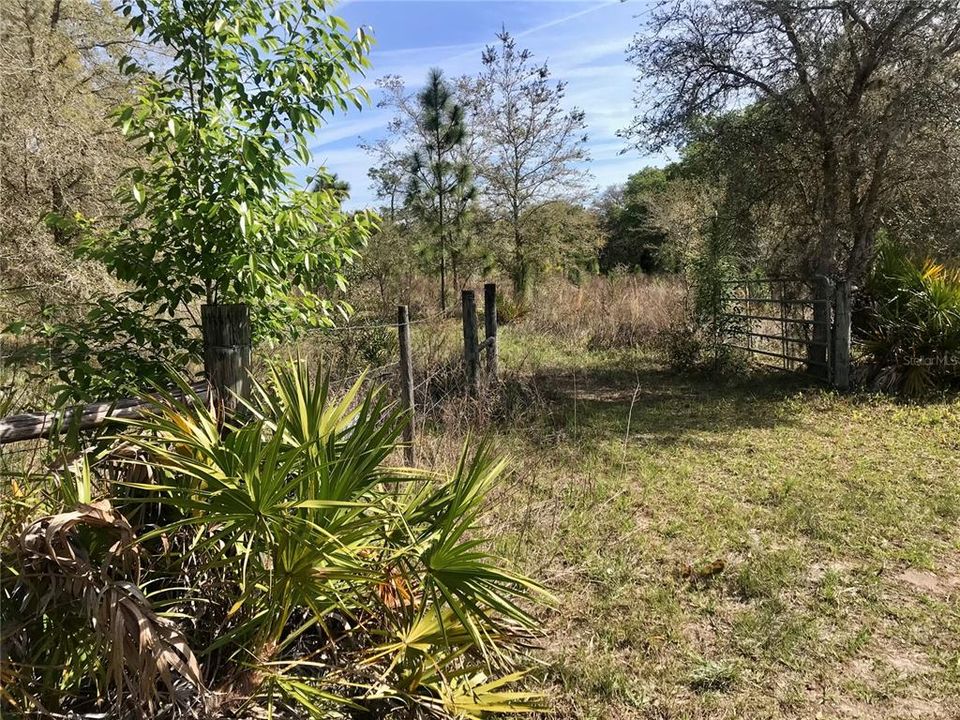 For Sale: $1,115,000 (60.00 acres)