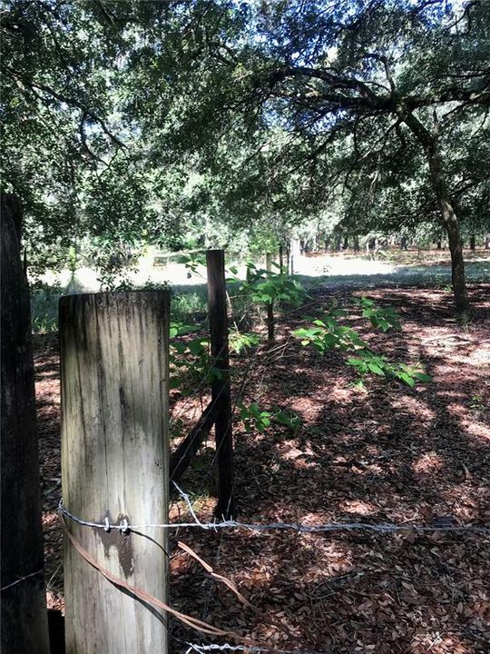 For Sale: $1,115,000 (60.00 acres)