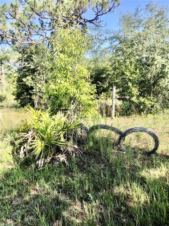 For Sale: $1,115,000 (60.00 acres)