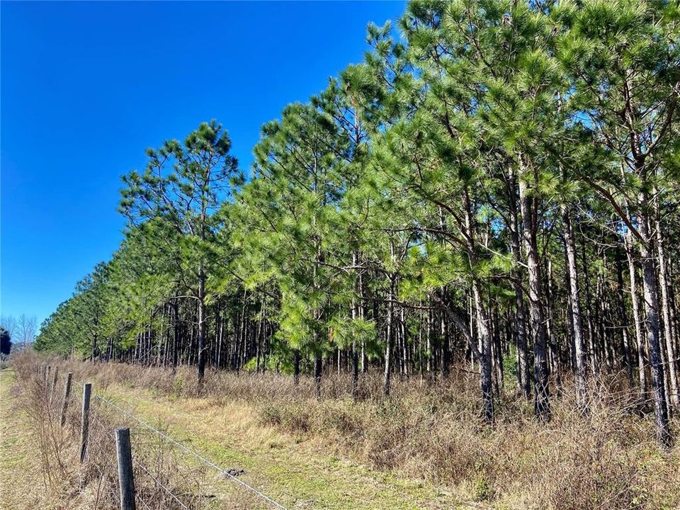 For Sale: $1,115,000 (60.00 acres)