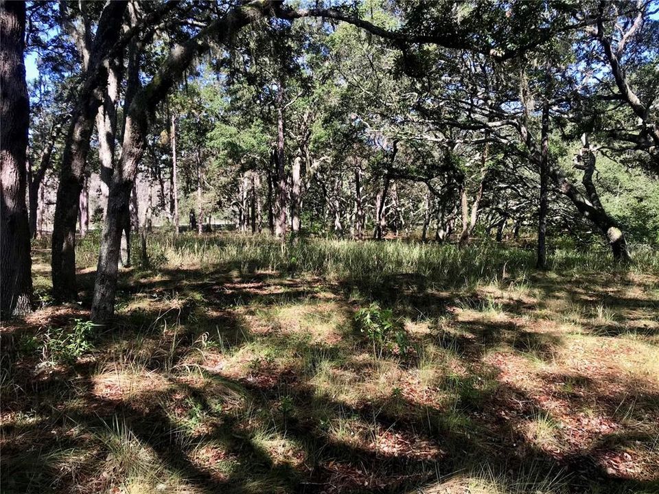 For Sale: $1,115,000 (60.00 acres)