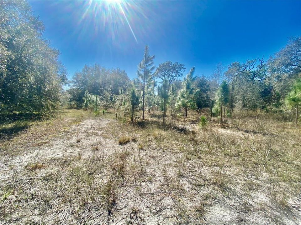 For Sale: $1,115,000 (60.00 acres)