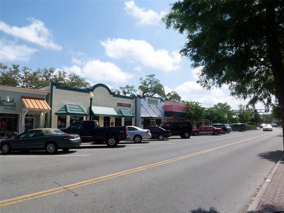 Main Street Downtown Dunedin