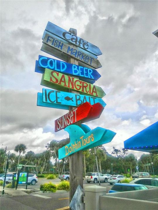 Dunedin Marina